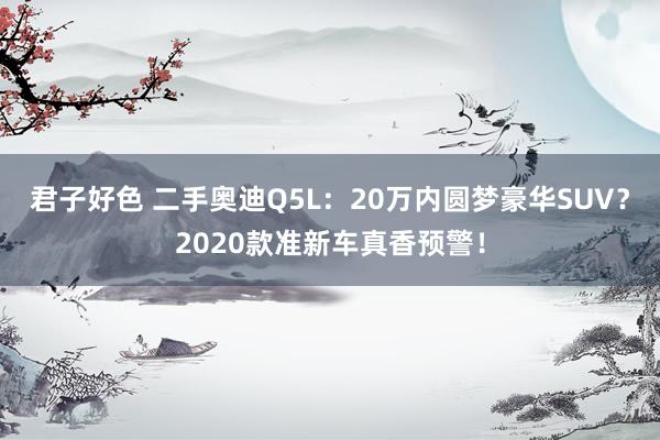 君子好色 二手奥迪Q5L：20万内圆梦豪华SUV？2020款准新车真香预警！